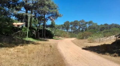 Emocionante oportunidad de terreno rodeado de naturaleza y serenidad. 