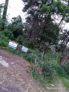 Terreno 