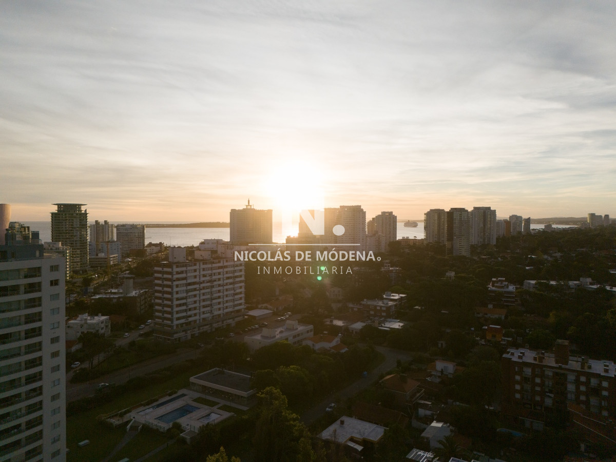 Manglar Albor