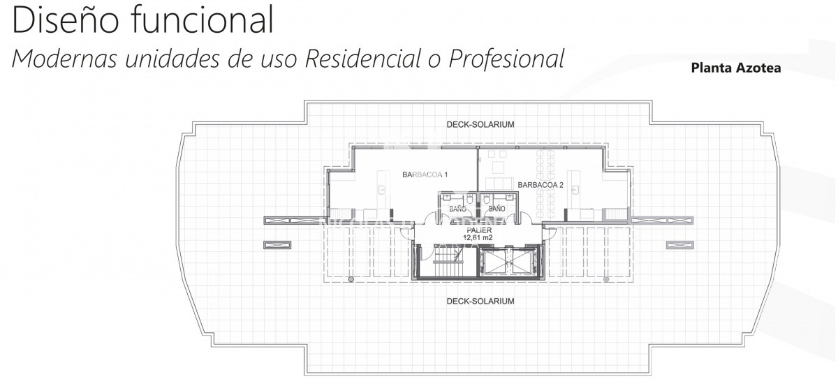 Planta View II
