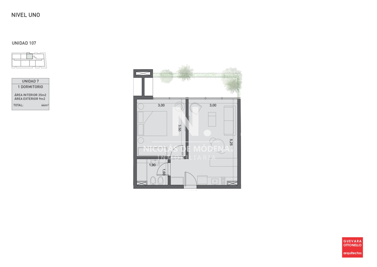 Planta