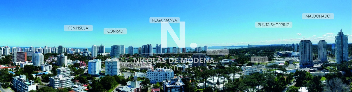 Vista