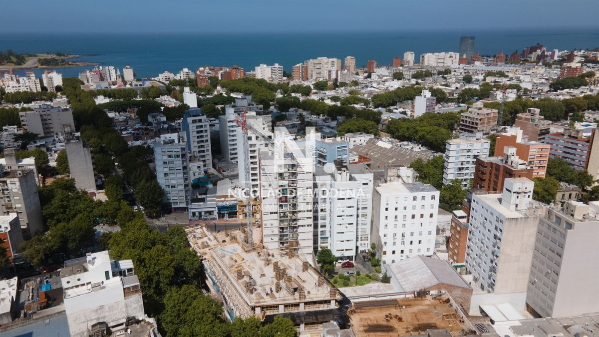 Cordón