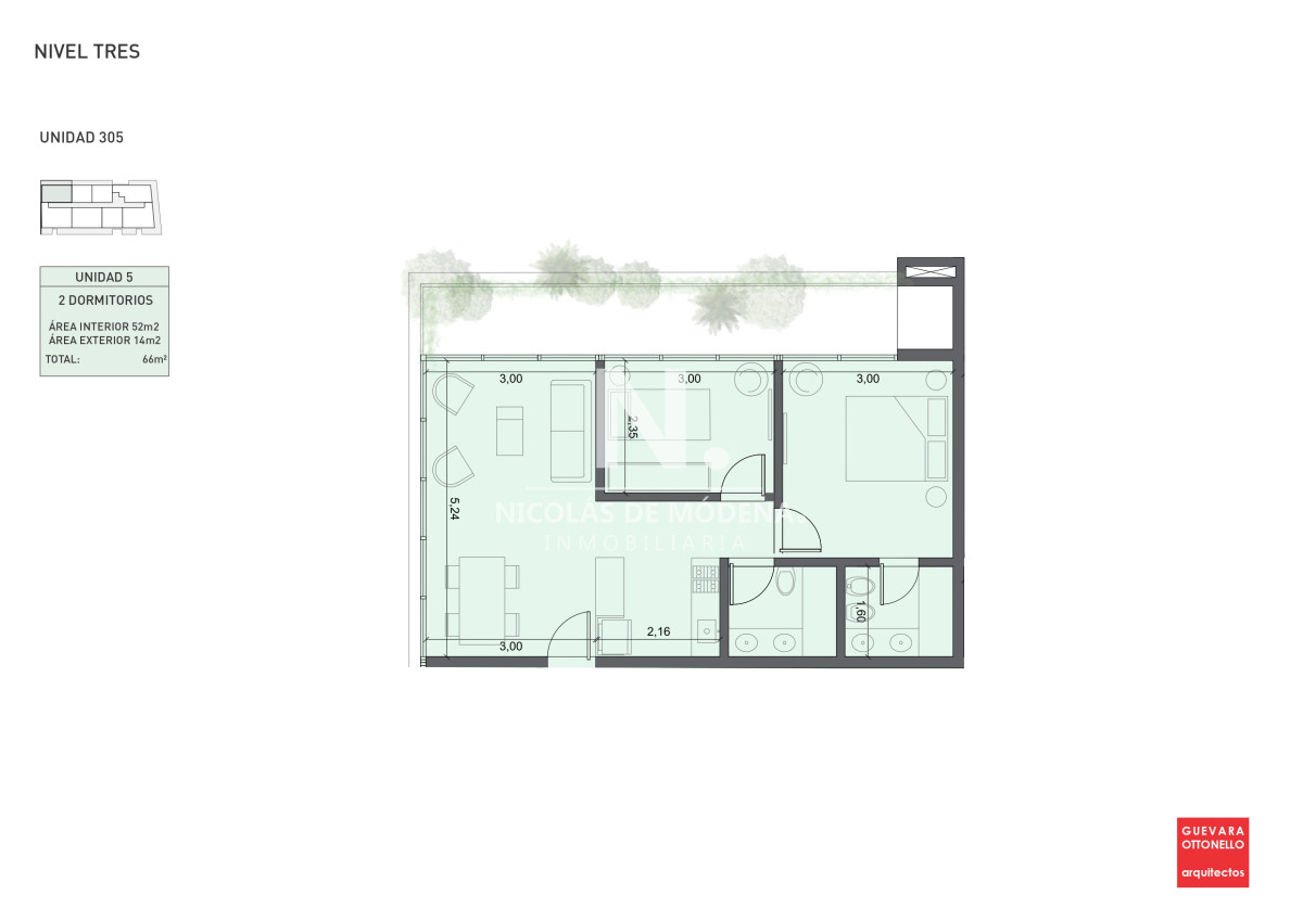 Planta