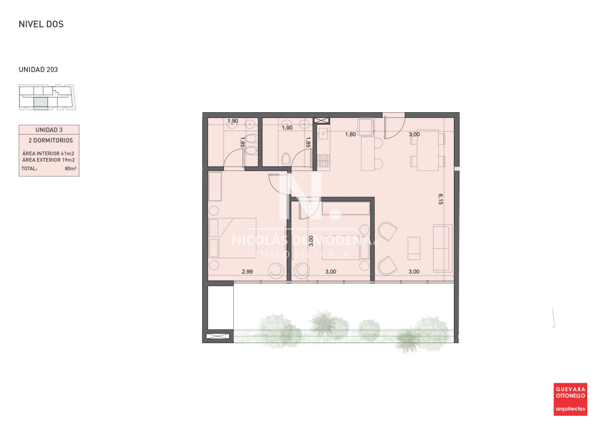Planta