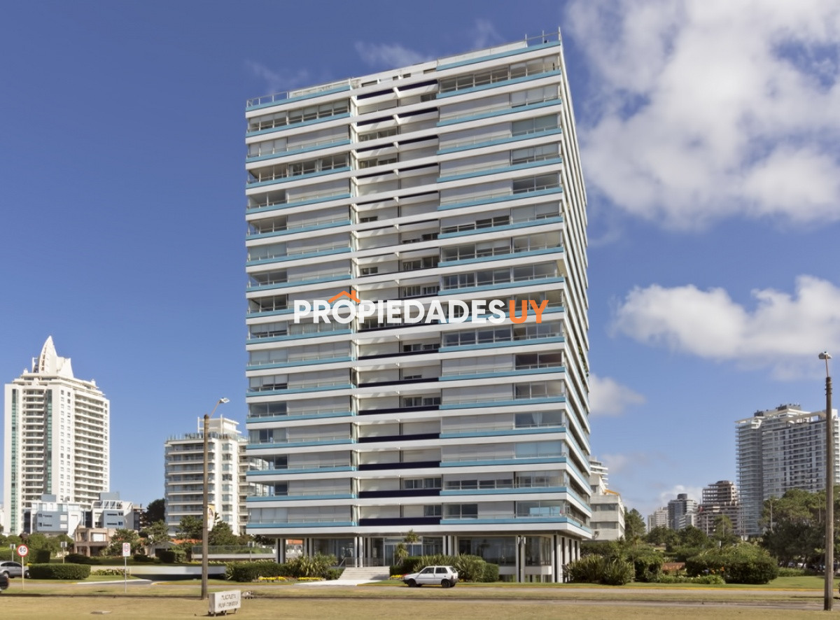 Tiburon l Punta del Este