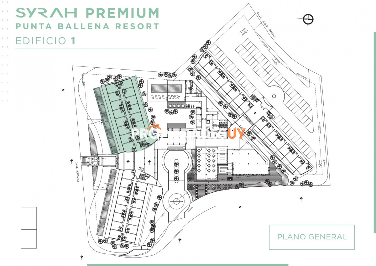 Syrah Premium Punta del Este