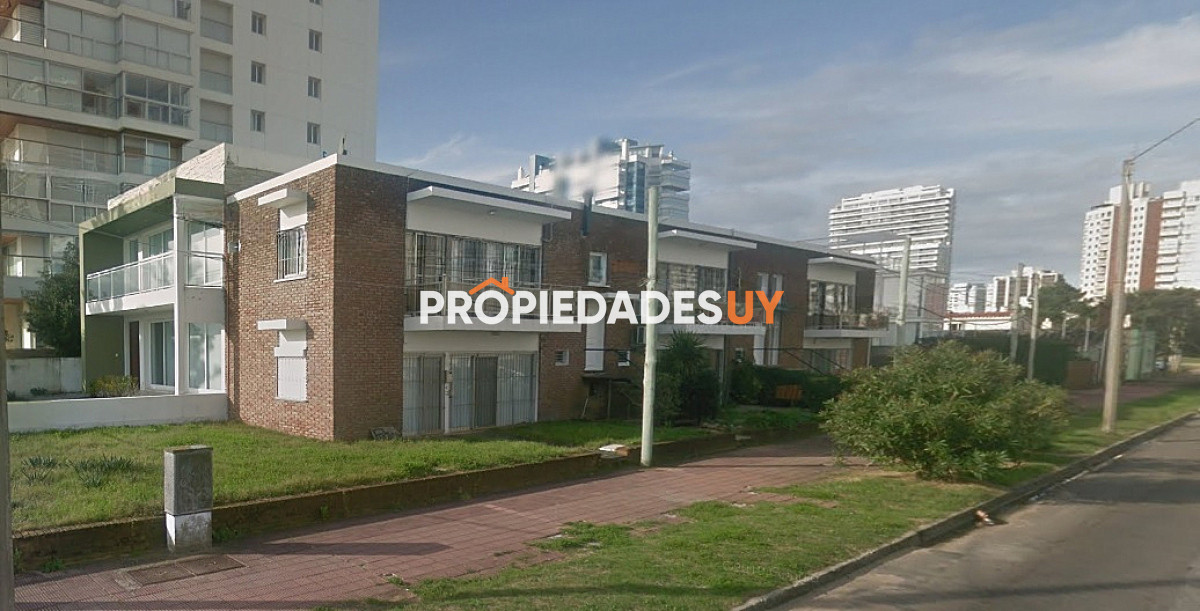 Platero Punta del Este