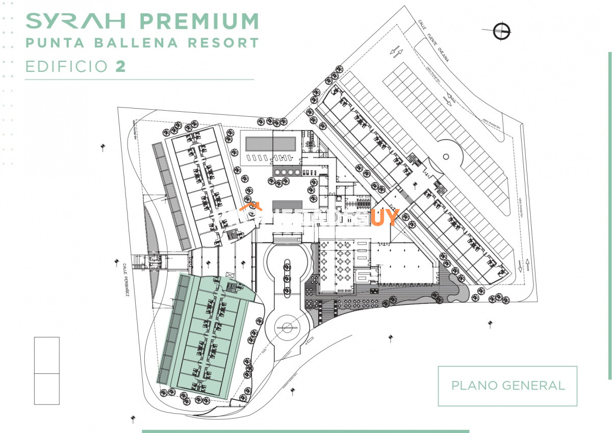 Syrah Premium Punta del Este