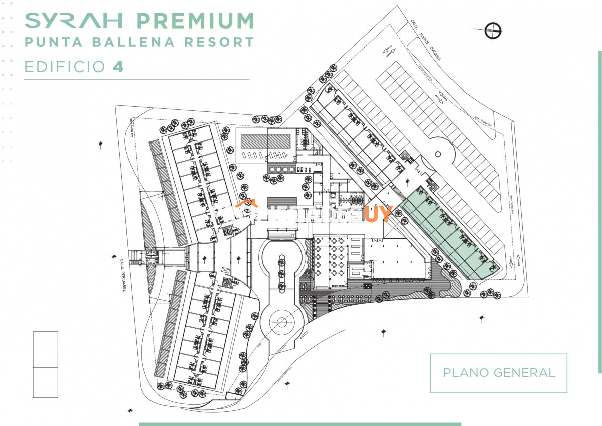 Syrah Premium Punta del Este