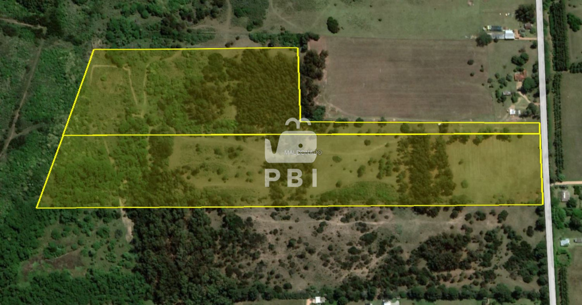 Punta Ballena - GoPunta - Portal Inmobiliario de Punta del Este - Maldonado