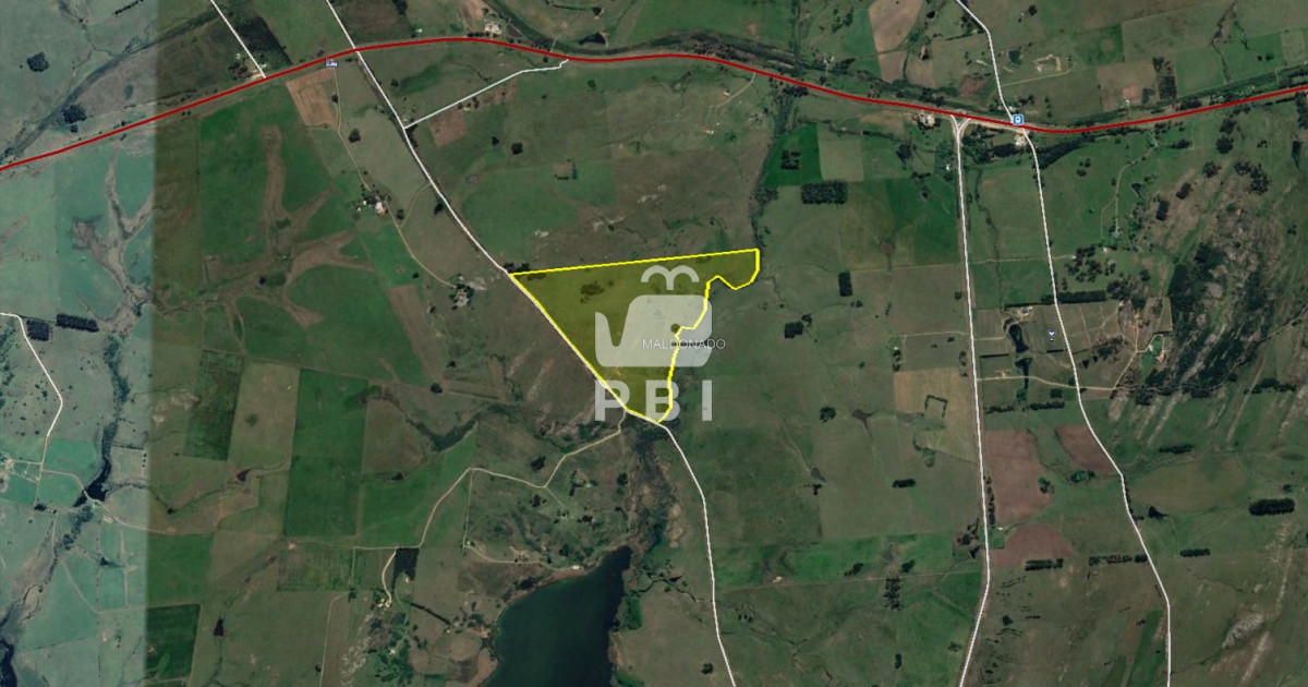 Laguna del Sauce - GoPunta - Portal Inmobiliario de Punta del Este - Maldonado
