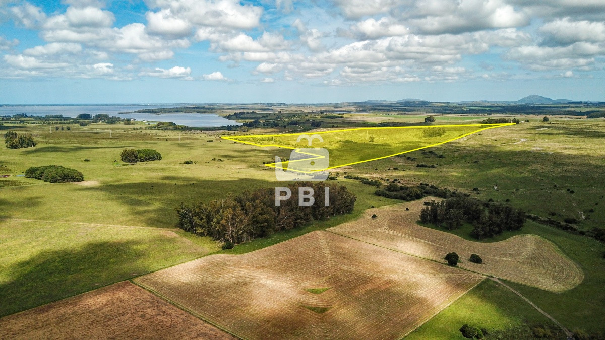 Laguna del Sauce - GoPunta - Portal Inmobiliario de Punta del Este - Maldonado