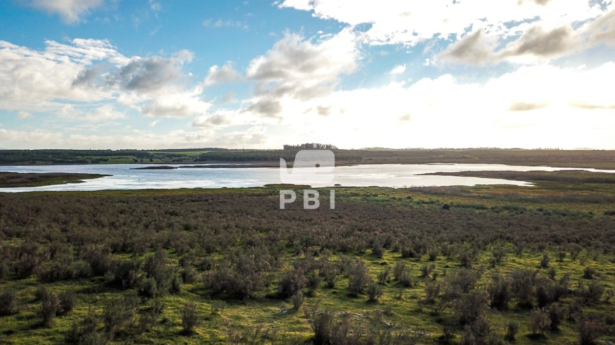Laguna del Sauce - GoPunta - Portal Inmobiliario de Punta del Este - Maldonado