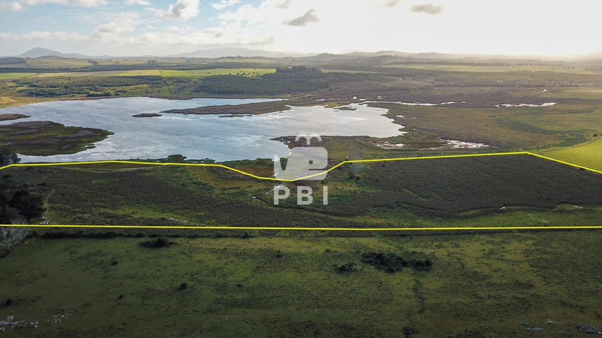 Laguna del Sauce - GoPunta - Portal Inmobiliario de Punta del Este - Maldonado