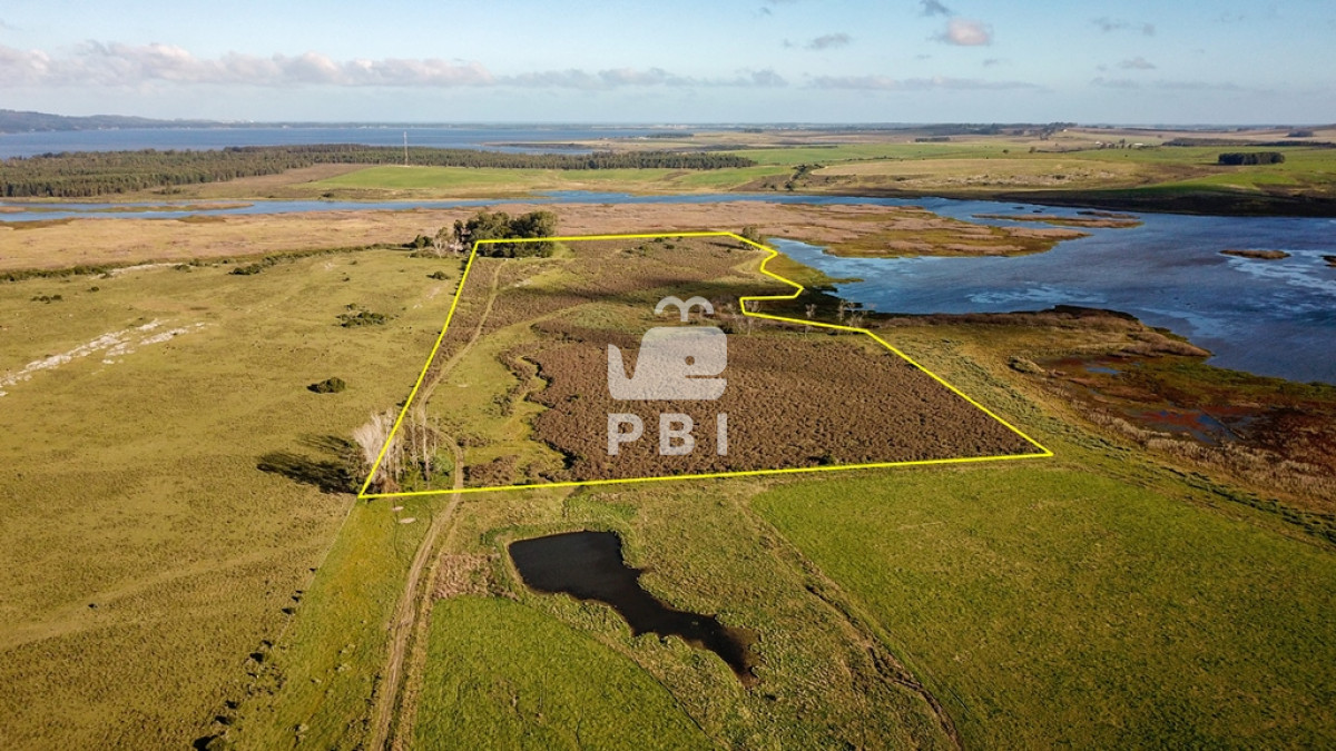 Laguna del Sauce - GoPunta - Portal Inmobiliario de Punta del Este - Maldonado