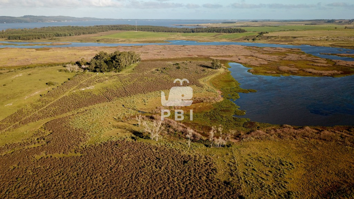 Laguna del Sauce - GoPunta - Portal Inmobiliario de Punta del Este - Maldonado