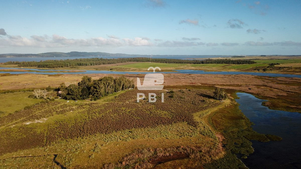 Laguna del Sauce - GoPunta - Portal Inmobiliario de Punta del Este - Maldonado