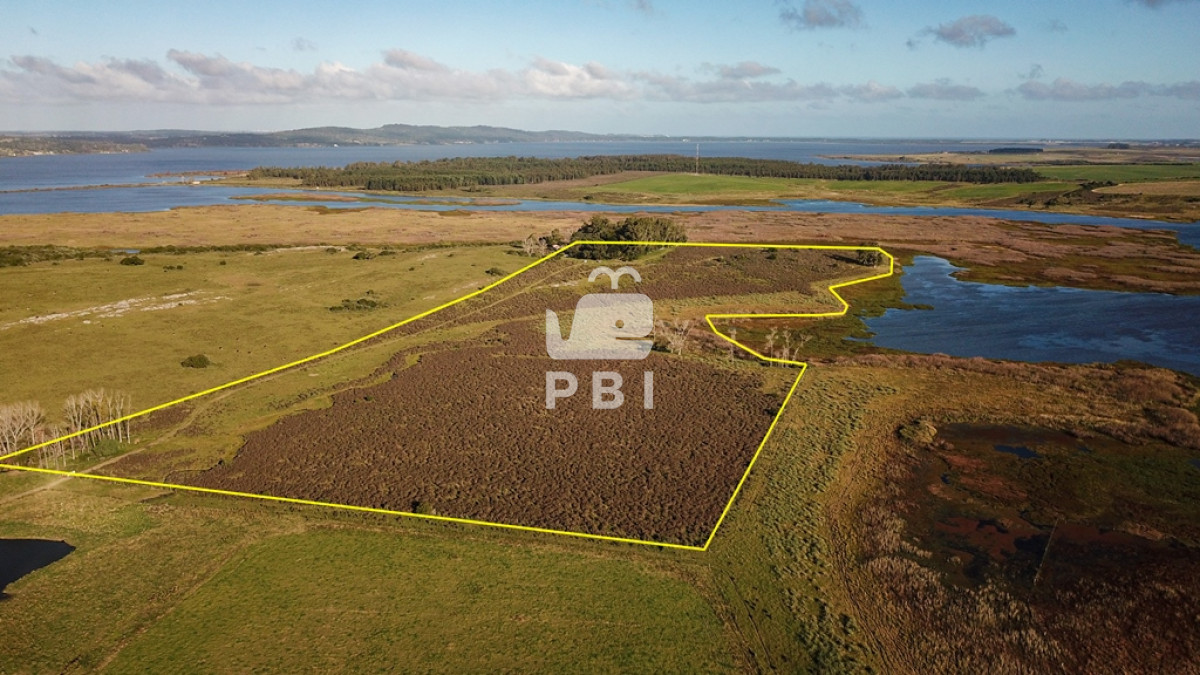 Laguna del Sauce - GoPunta - Portal Inmobiliario de Punta del Este - Maldonado