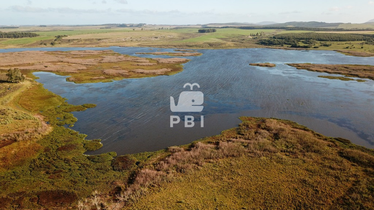 Laguna del Sauce - GoPunta - Portal Inmobiliario de Punta del Este - Maldonado