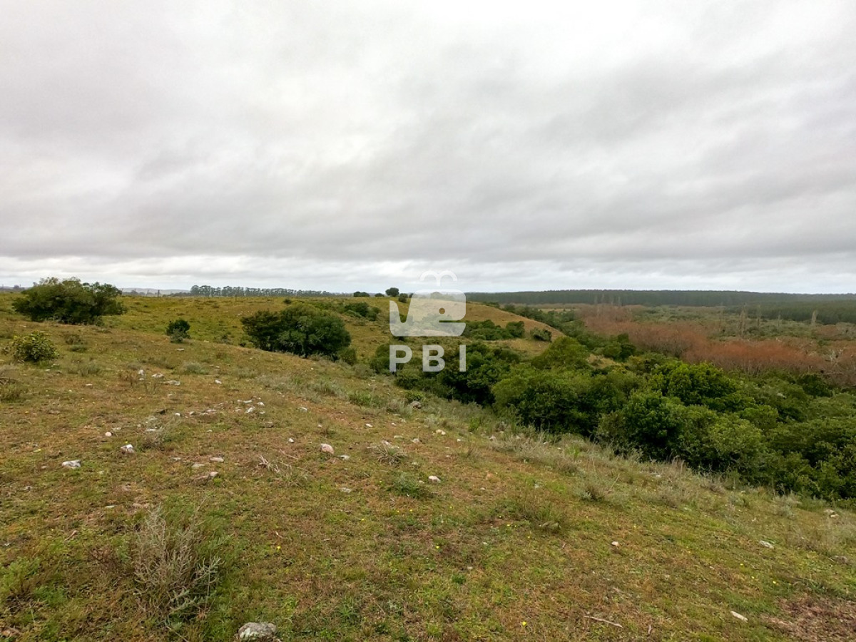 Pueblo Eden - GoPunta - Portal Inmobiliario de Punta del Este - Maldonado