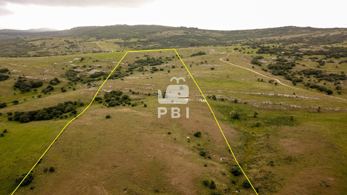 Pueblo Eden - GoPunta - Portal Inmobiliario de Punta del Este - Maldonado