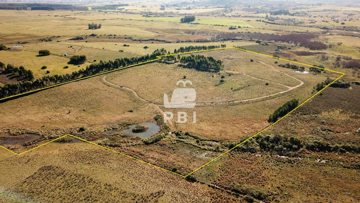 Pueblo Eden - GoPunta - Portal Inmobiliario de Punta del Este - Maldonado