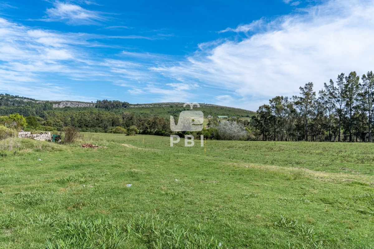 Ruta 9 - GoPunta - Portal Inmobiliario de Punta del Este - Maldonado