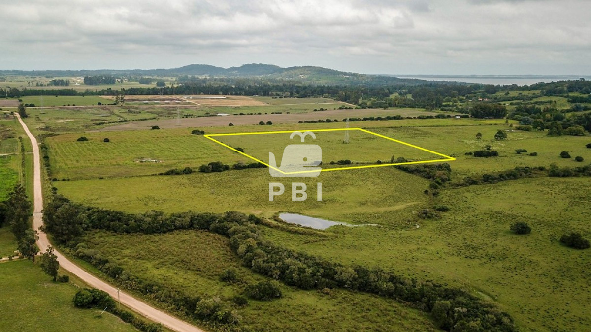 La Pataia - GoPunta - Portal Inmobiliario de Punta del Este - Maldonado