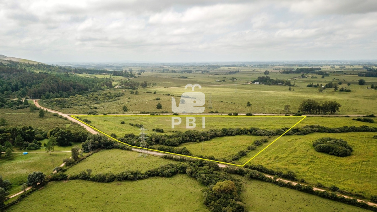 La Pataia - GoPunta - Portal Inmobiliario de Punta del Este - Maldonado
