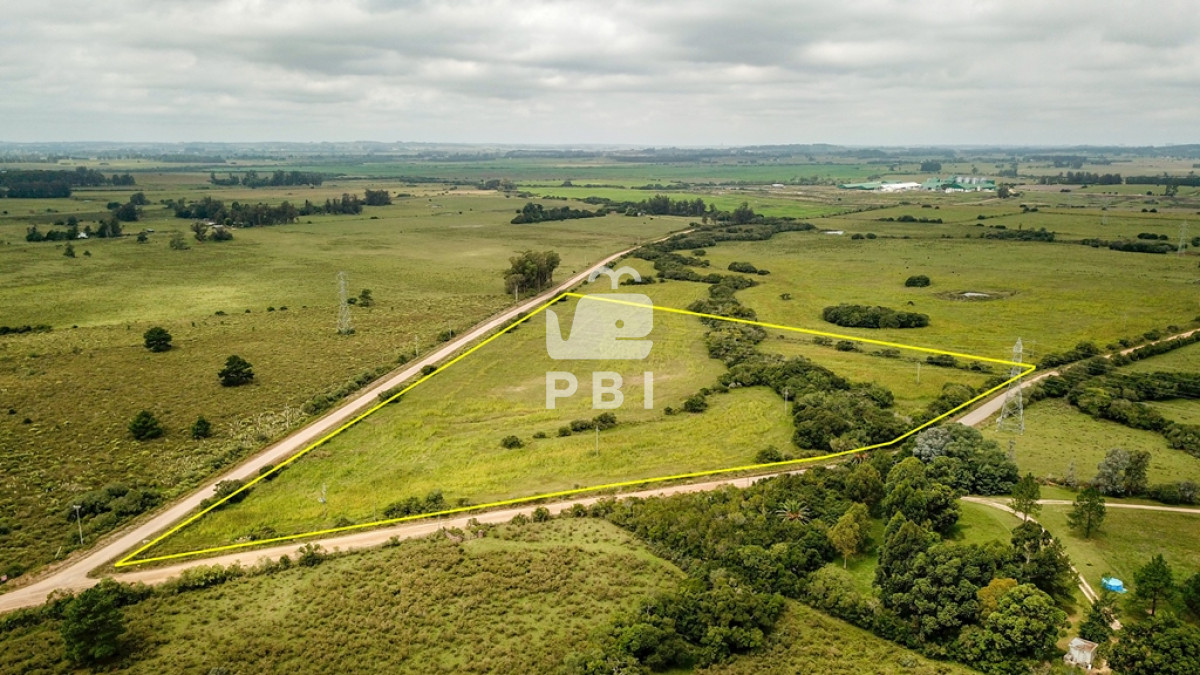 La Pataia - GoPunta - Portal Inmobiliario de Punta del Este - Maldonado