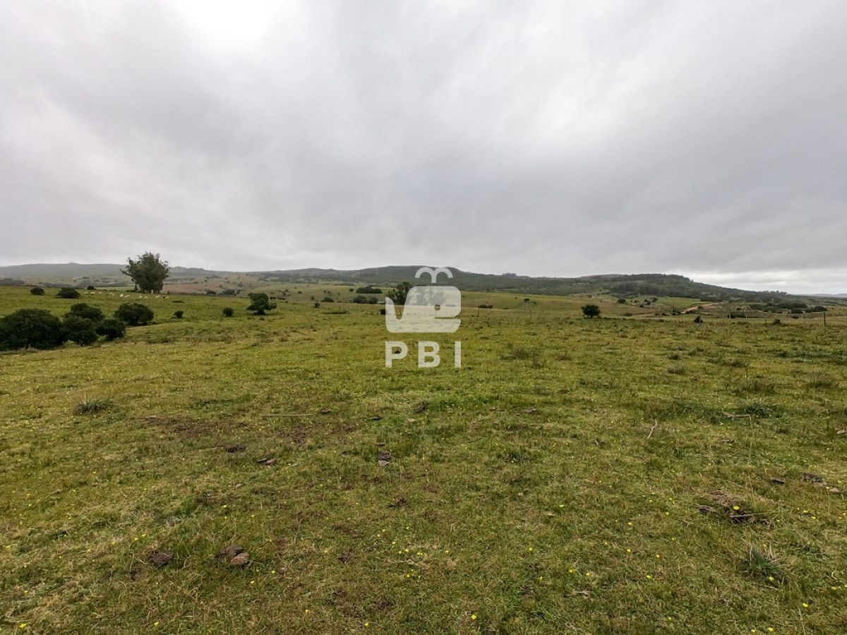Pueblo Eden - GoPunta - Portal Inmobiliario de Punta del Este - Maldonado