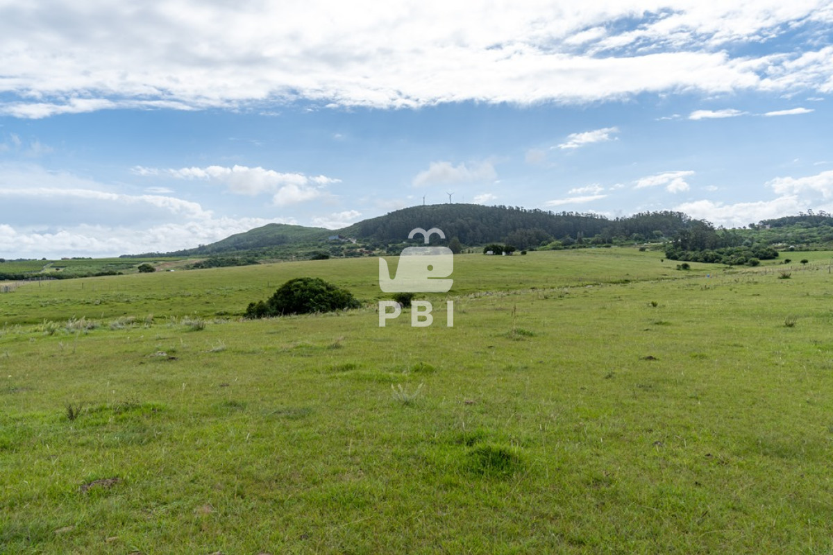 Pueblo Eden - GoPunta - Portal Inmobiliario de Punta del Este - Maldonado