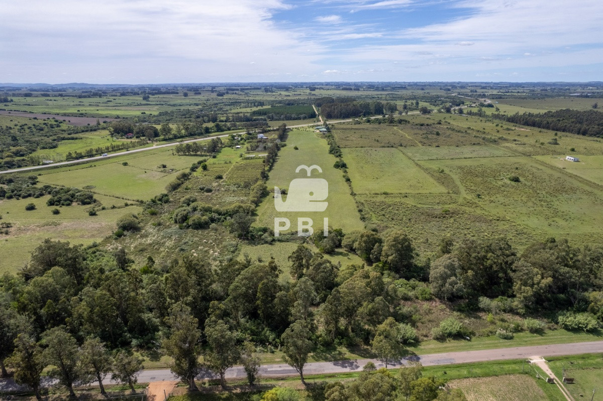 Ruta 9 - GoPunta - Portal Inmobiliario de Punta del Este - Maldonado