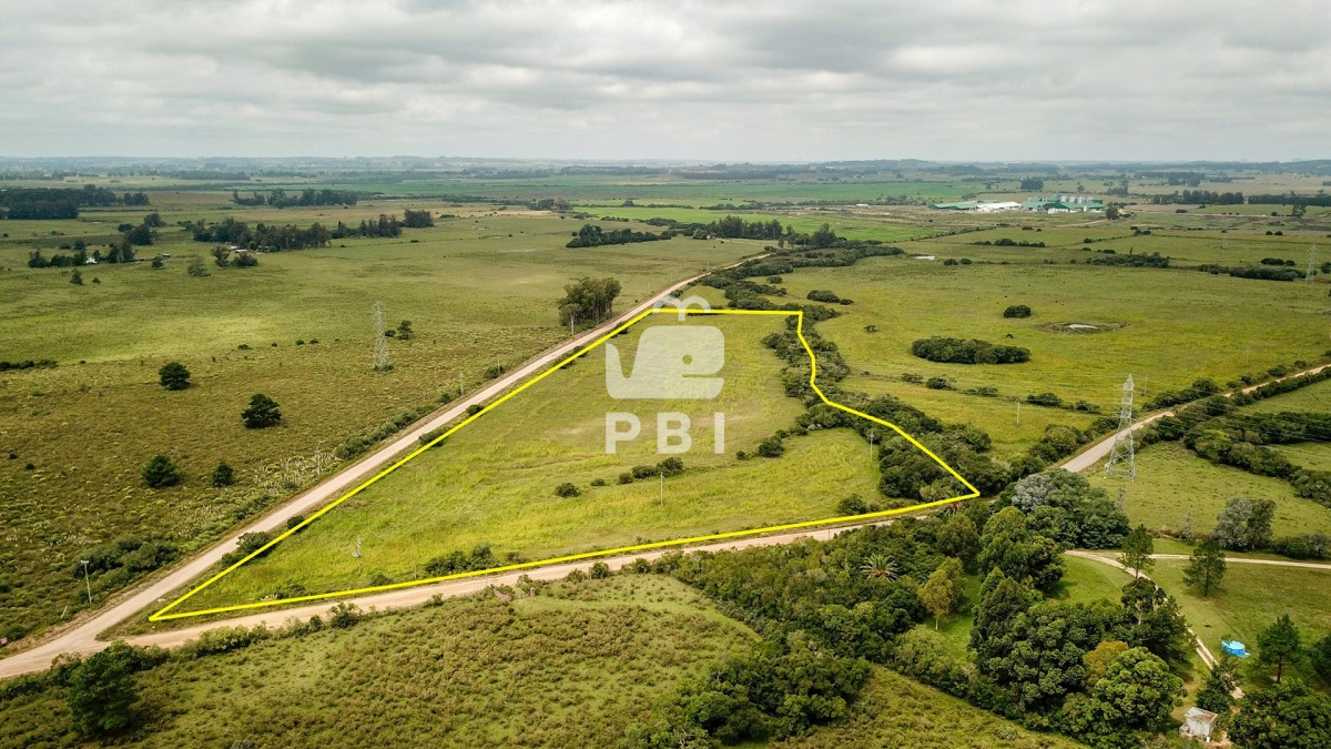 La Pataia - GoPunta - Portal Inmobiliario de Punta del Este - Maldonado