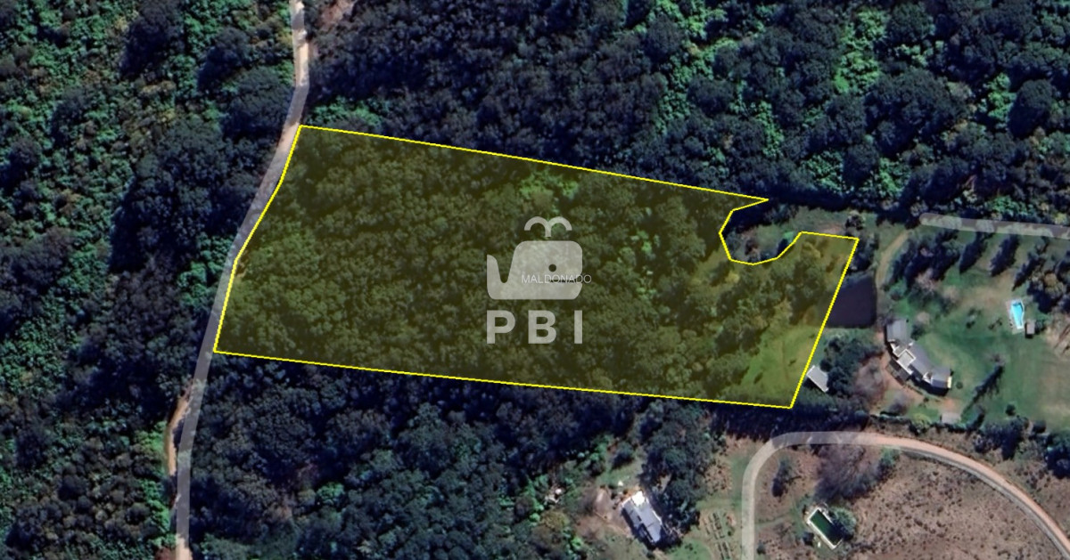 Punta Ballena - GoPunta - Portal Inmobiliario de Punta del Este - Maldonado
