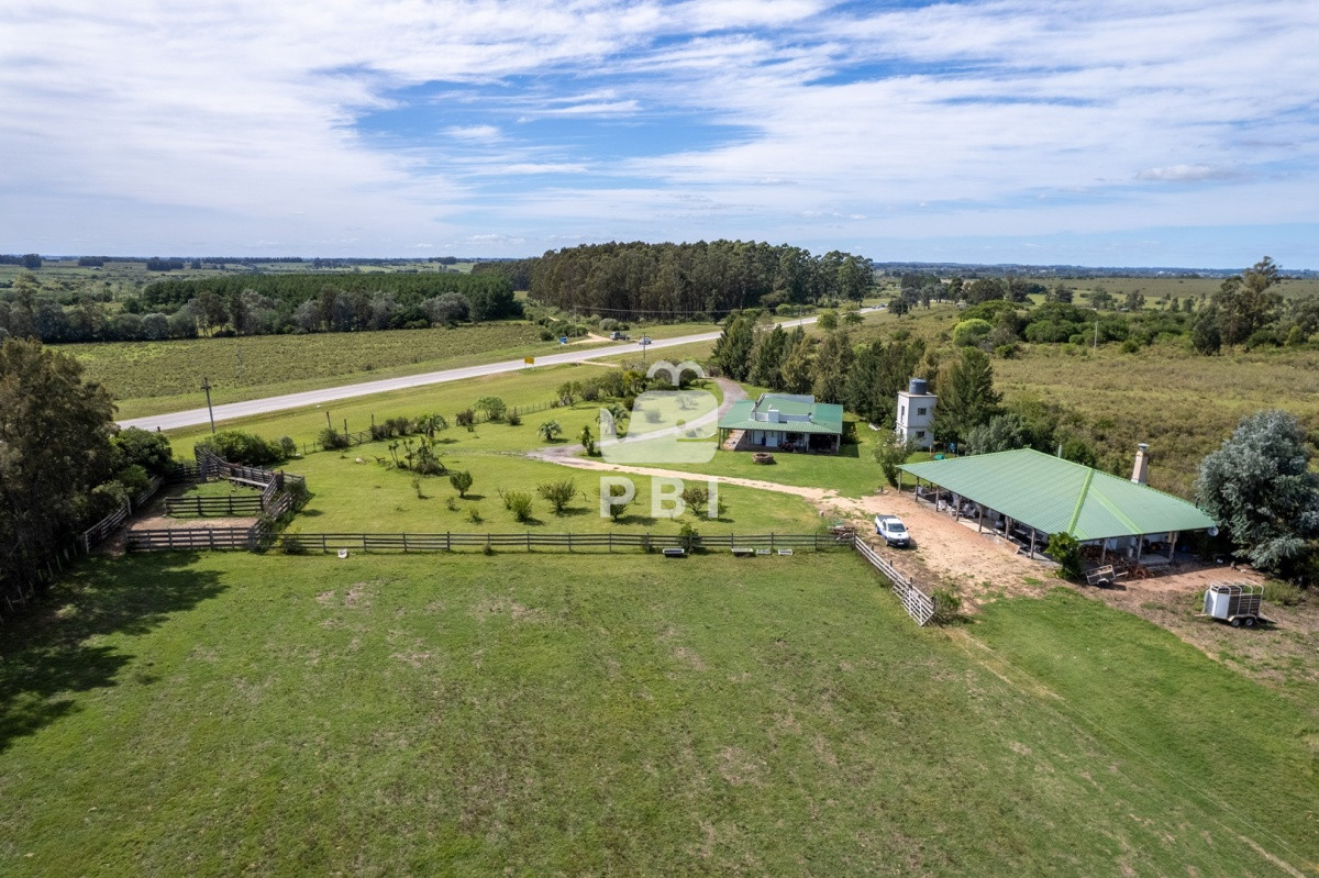 Ruta 9 - GoPunta - Portal Inmobiliario de Punta del Este - Maldonado