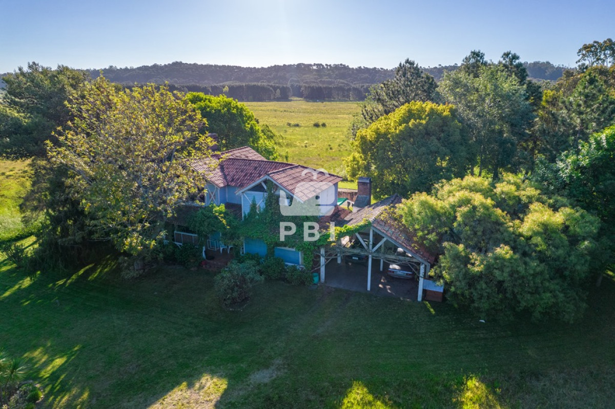 La Pataia - GoPunta - Portal Inmobiliario de Punta del Este - Maldonado
