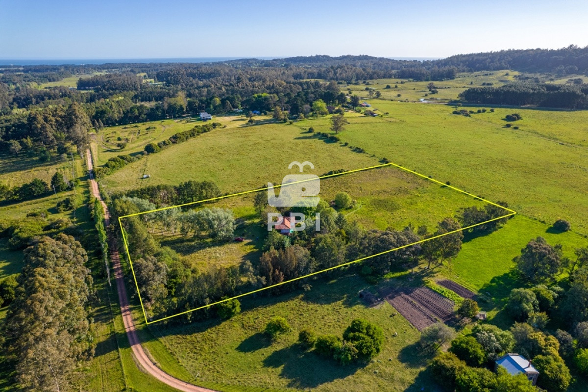 La Pataia - GoPunta - Portal Inmobiliario de Punta del Este - Maldonado