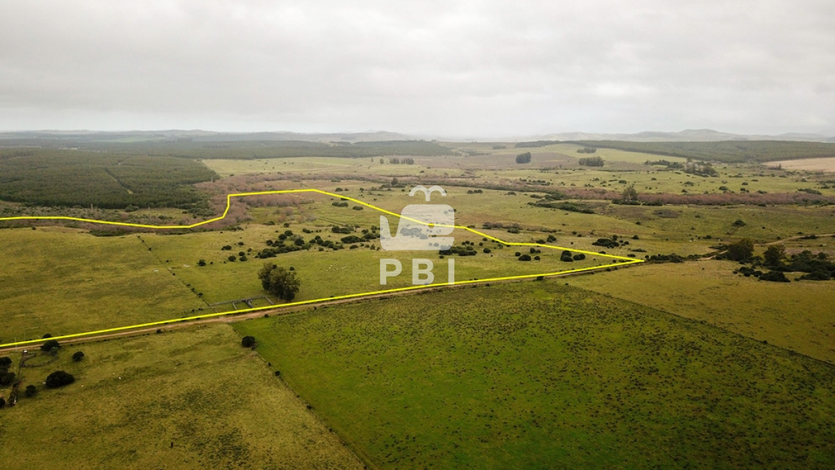 Pueblo Eden - GoPunta - Portal Inmobiliario de Punta del Este - Maldonado