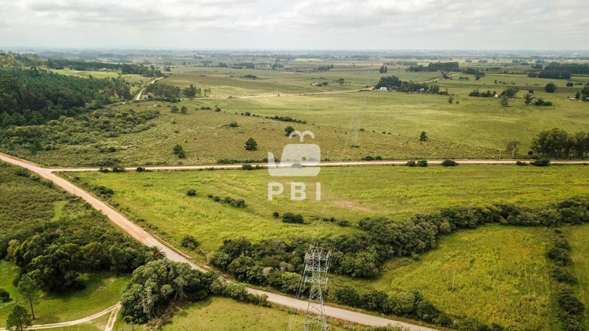 La Pataia - GoPunta - Portal Inmobiliario de Punta del Este - Maldonado