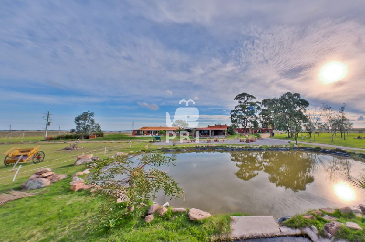 Punta Ballena - GoPunta - Portal Inmobiliario de Punta del Este - Maldonado
