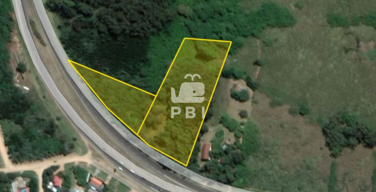 Punta Ballena - GoPunta - Portal Inmobiliario de Punta del Este - Maldonado