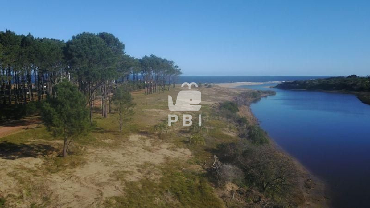 Punta Ballena - GoPunta - Portal Inmobiliario de Punta del Este - Maldonado