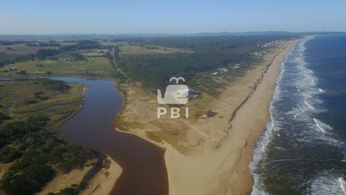 Punta Ballena - GoPunta - Portal Inmobiliario de Punta del Este - Maldonado
