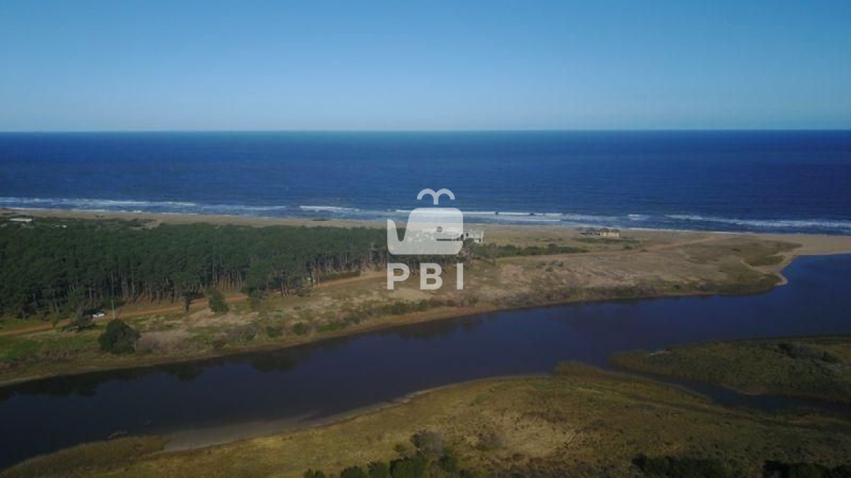 Punta Ballena - GoPunta - Portal Inmobiliario de Punta del Este - Maldonado