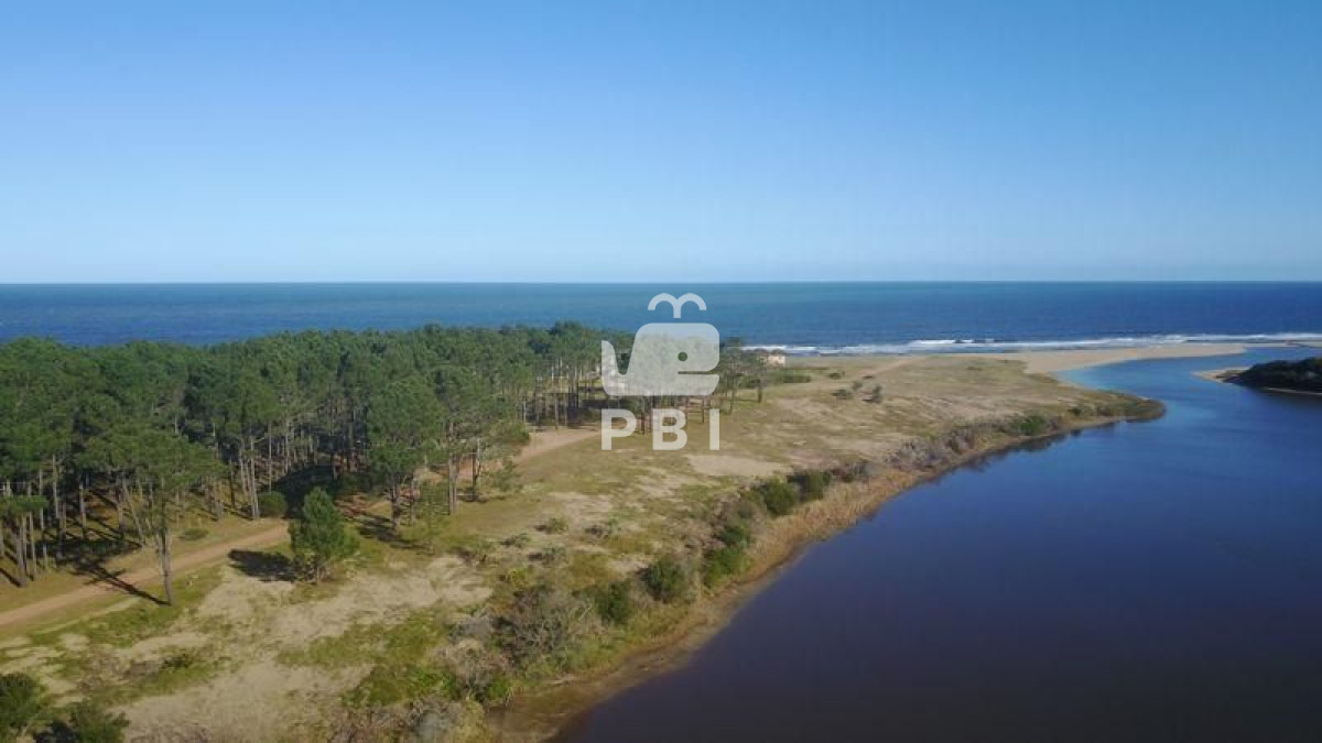 Punta Ballena - GoPunta - Portal Inmobiliario de Punta del Este - Maldonado