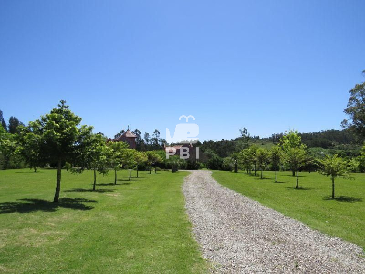 Punta Ballena - GoPunta - Portal Inmobiliario de Punta del Este - Maldonado