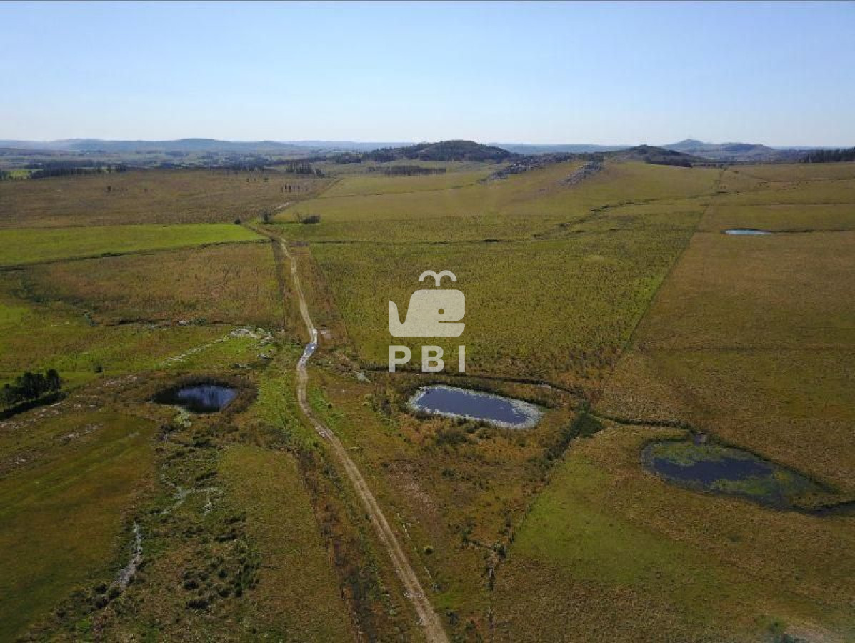 Laguna del Sauce - GoPunta - Portal Inmobiliario de Punta del Este - Maldonado