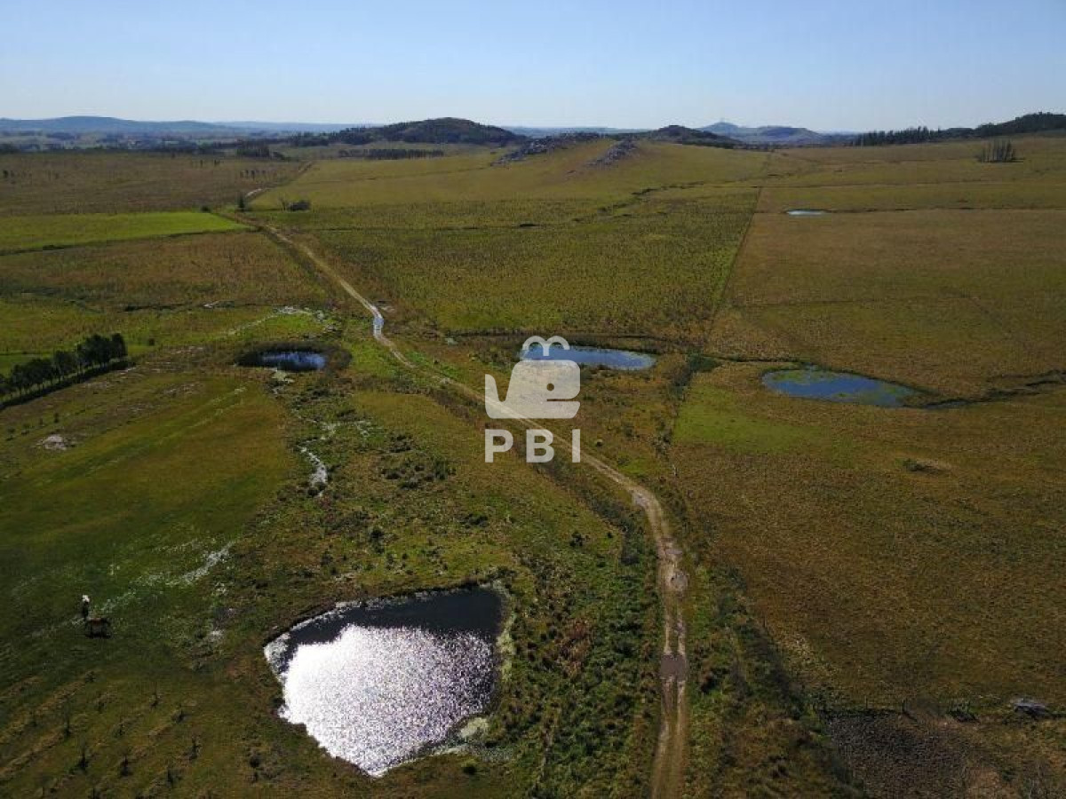 Laguna del Sauce - GoPunta - Portal Inmobiliario de Punta del Este - Maldonado